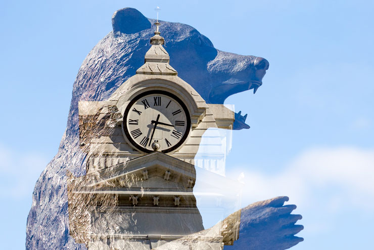 Image of the bear and clock tower