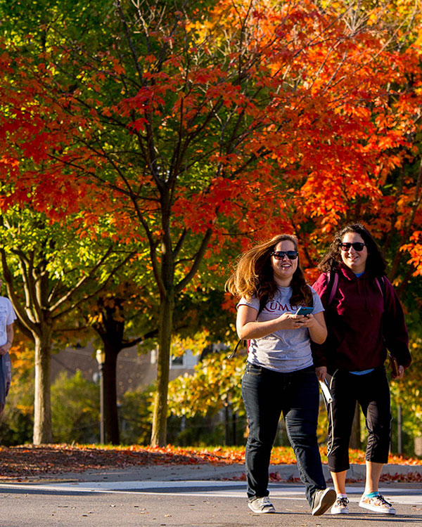 students walking with colorful trees appearing in the background.