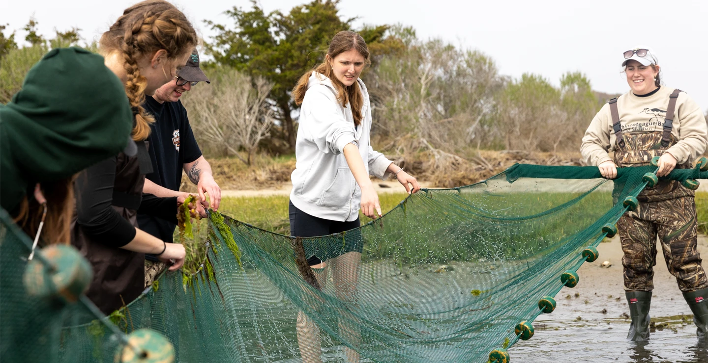 Four white female students standing in a marsh with a fish net doing a field study