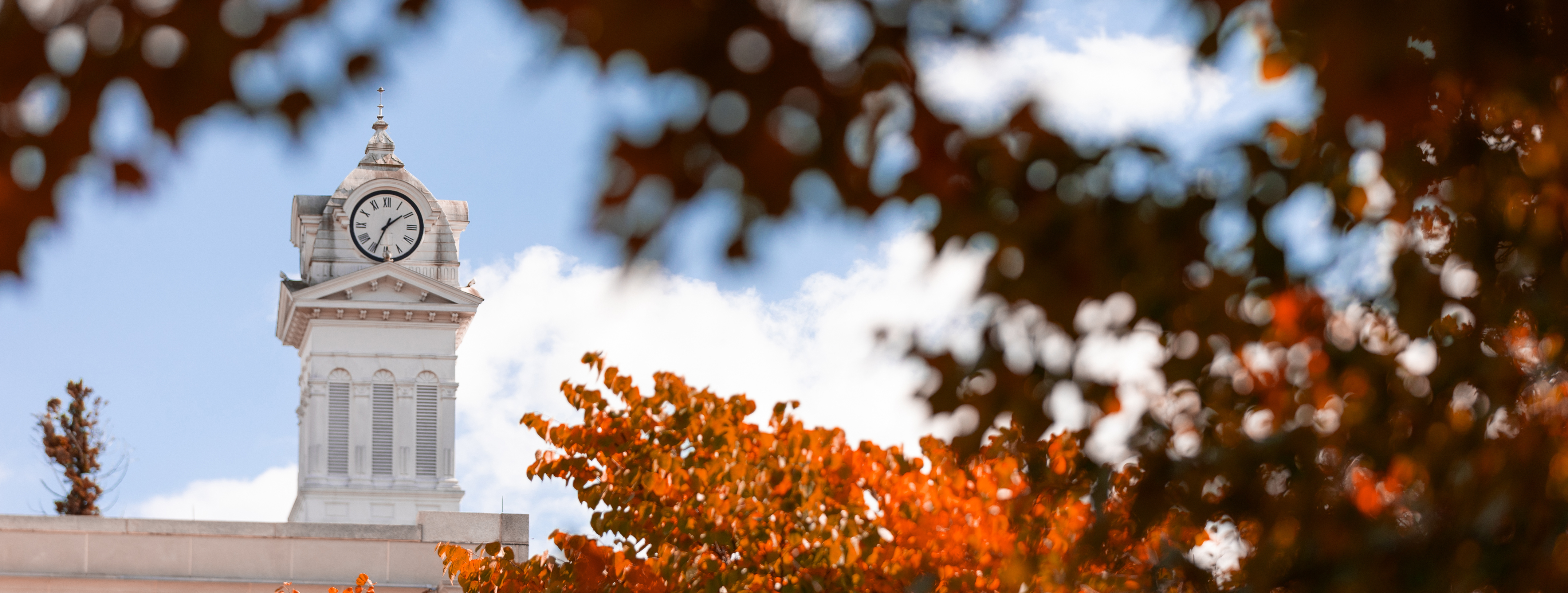 old main clock tower behind fall leaves