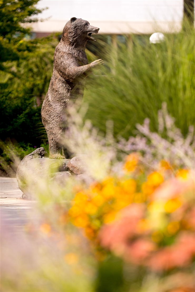 Golden bear statue 