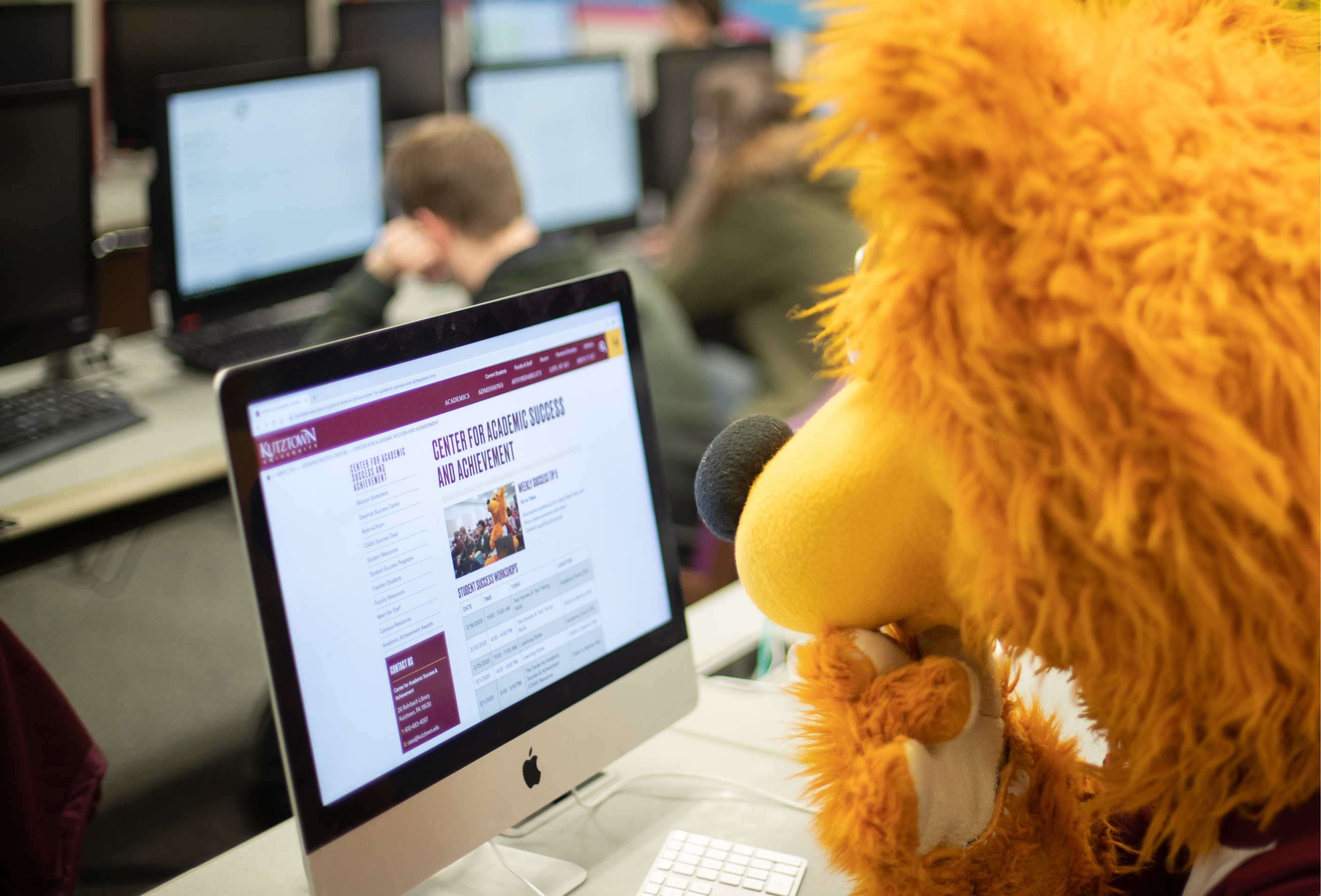 image of our mascot avalanche sitting in a computer lab looking at a computer monitor reading the casa referral form