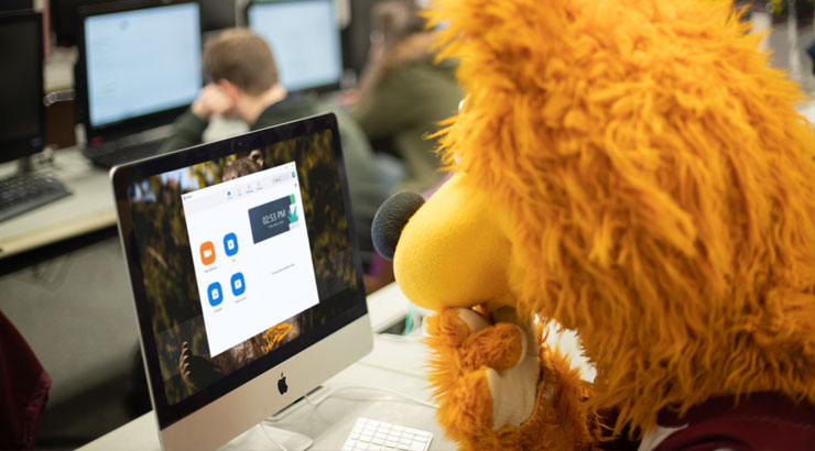 Avalnche the mascot sitting at a desk looking at a computer monitor with a zoom meeting screen on the monitor