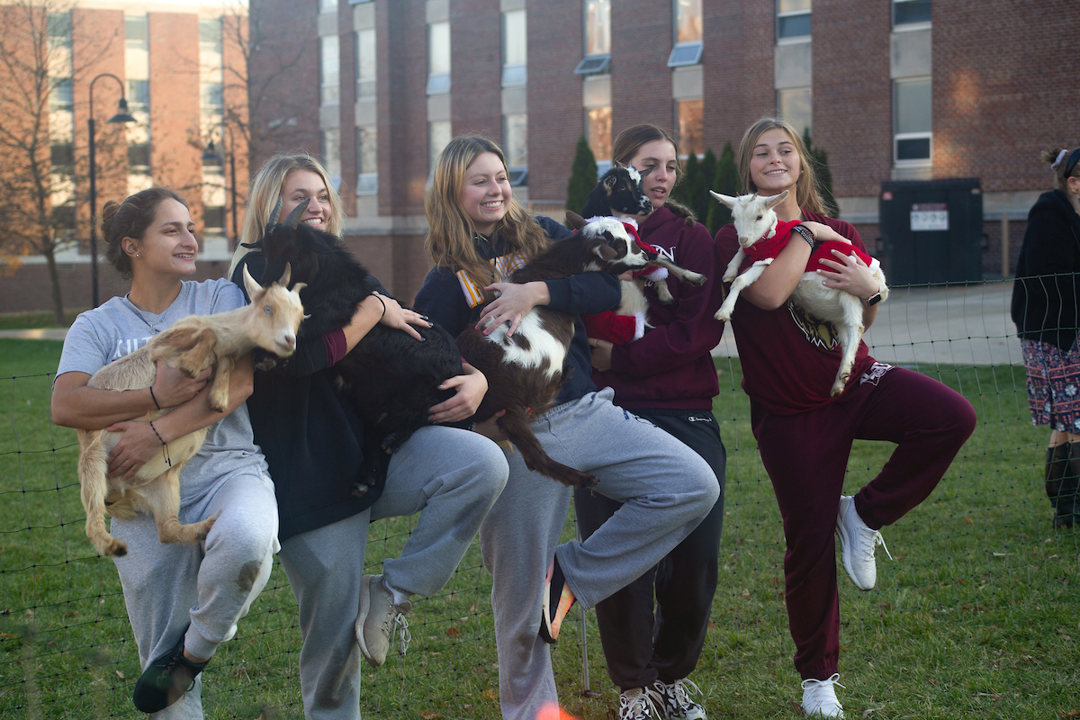KU Students participating in goat yoga