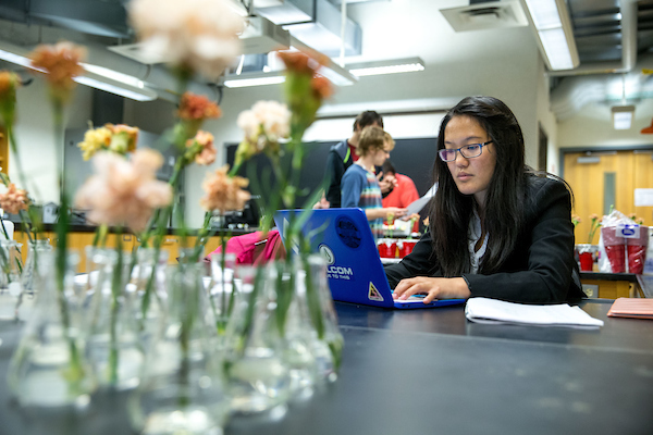 carnations in Erlenmeyer flasks in the foreground with student wearing glasses working at laptop in the background