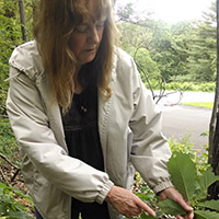 Dr. Carol Mapes identifying plants at Hawk Mountain.