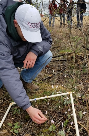 student wearing a gray jacket, jeans and white KU cap counting plants in a field margin square with students looking on in background