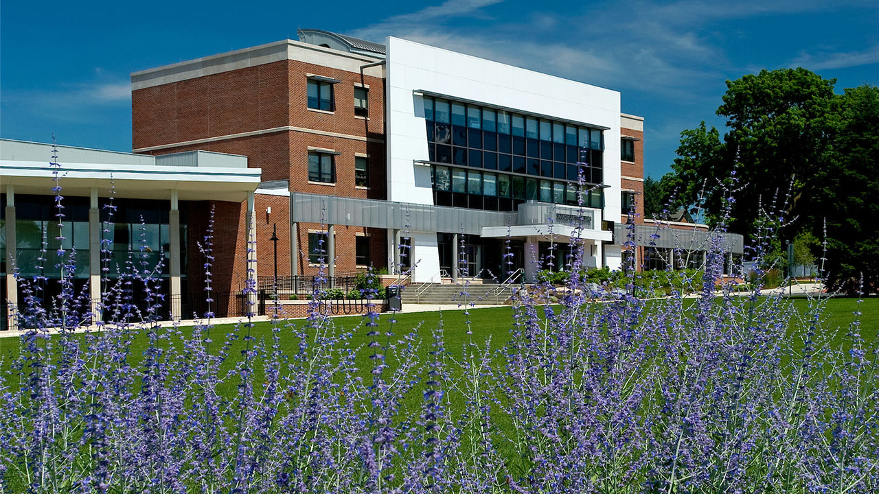 Distant shot of the front entrance of the Sharadin Arts building, with high grass and flowers growing in the foreground 