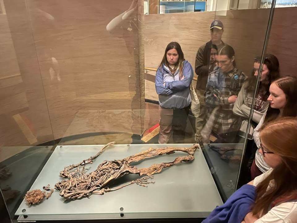 Kutztown students in a museum looking at a display case with a human skeleton lying on its back 