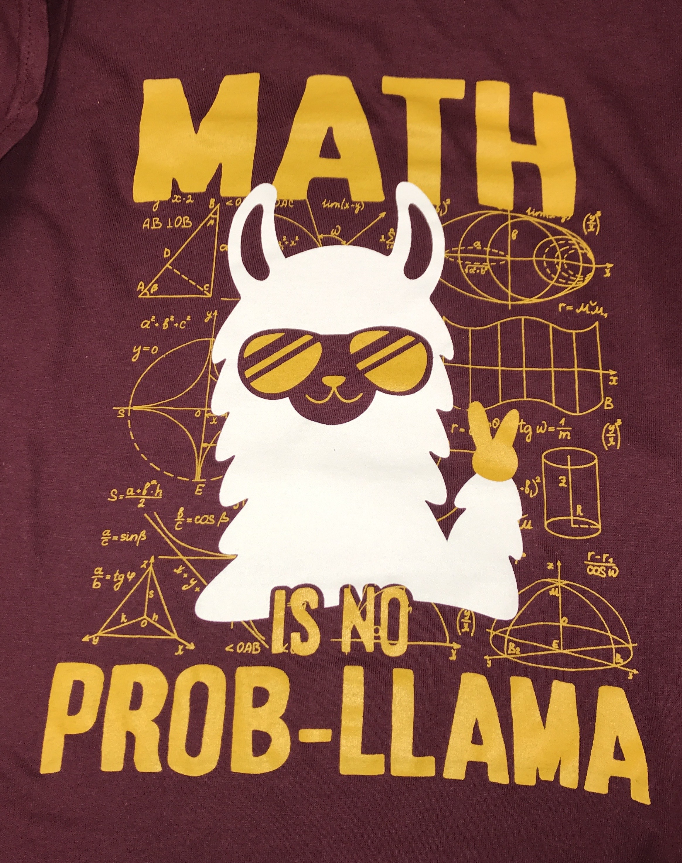 Math is no prob-llama
