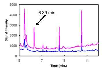 chromatogram of an extract of money showing a peak at 6.39 minutes