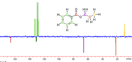 cabon-13 NMR with correlated hydrogens