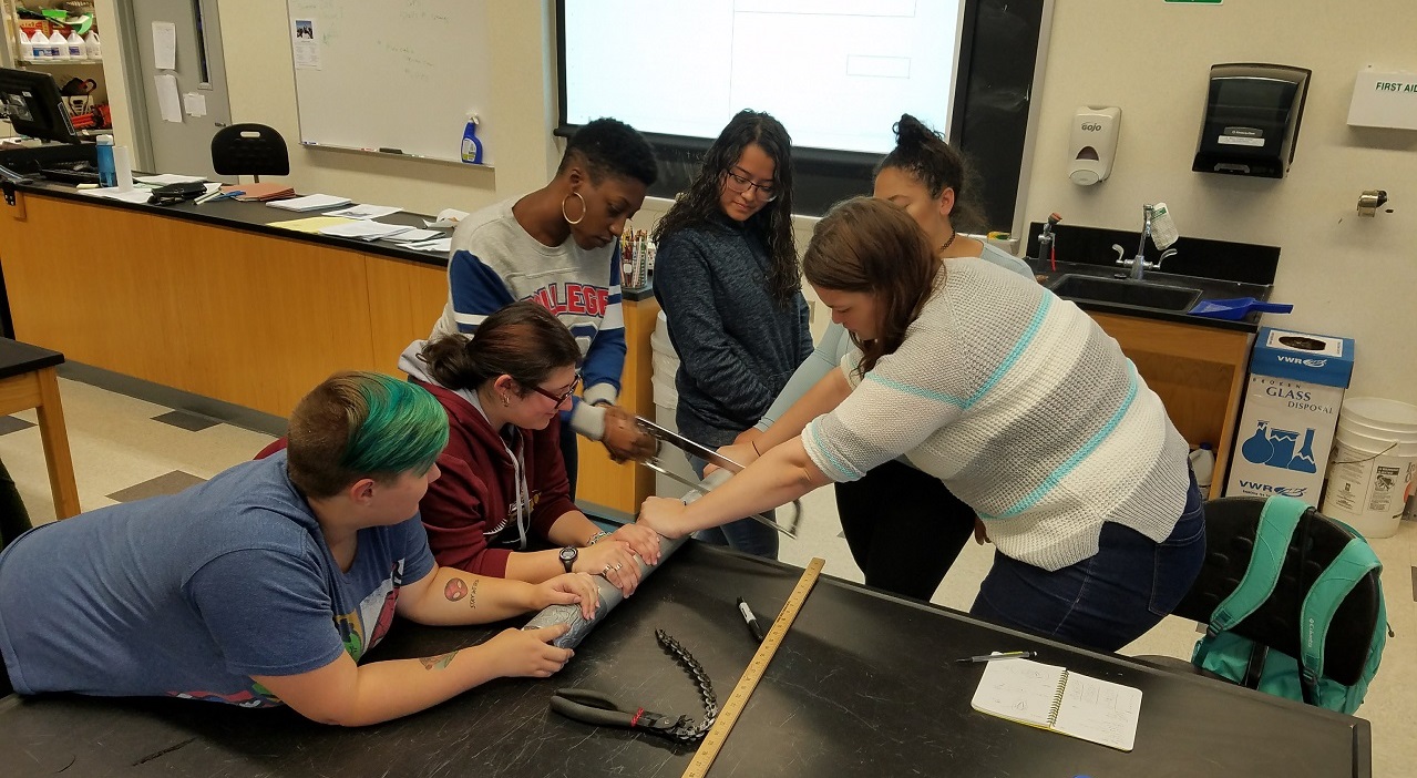 Group of geology students holding a core as one student cuts it with a saw for analysis