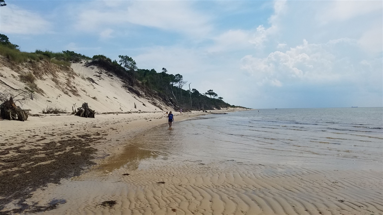 Far shot of a students walking along an empty beach in front of a large cliffside