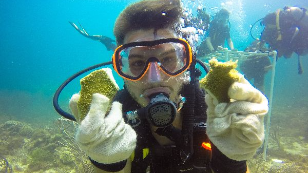 Male student in scuba gear underwater with coral fragments. 