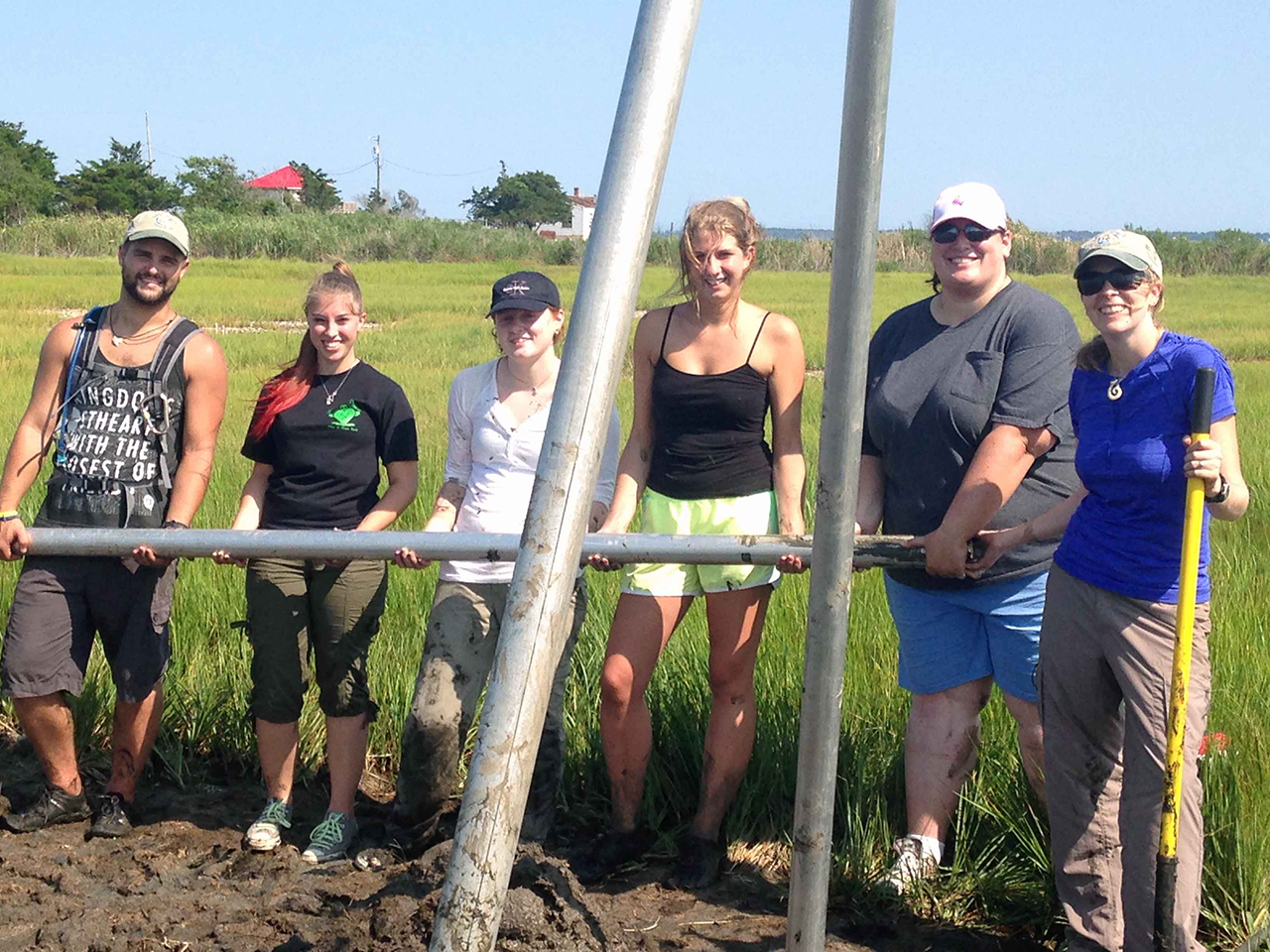 Dr. Adrienne Oakley and students vibracoring in the salt marsh.