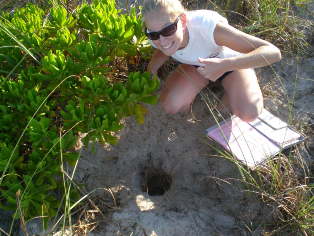 Melissa looking at a turtle nest