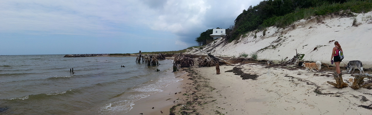 Lone student walking along an empty beach in Savage Neck Dunes, VA with the ocean to their left and a white hut in the background