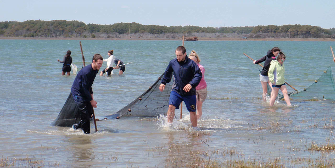 Group of students standing with nets in the ocean in Seining in Toms Cove, Chincoteague National Wildlife Refuge
