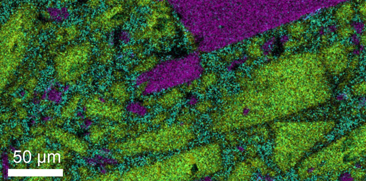 Chemical composition map of crystals in volcanic rock
