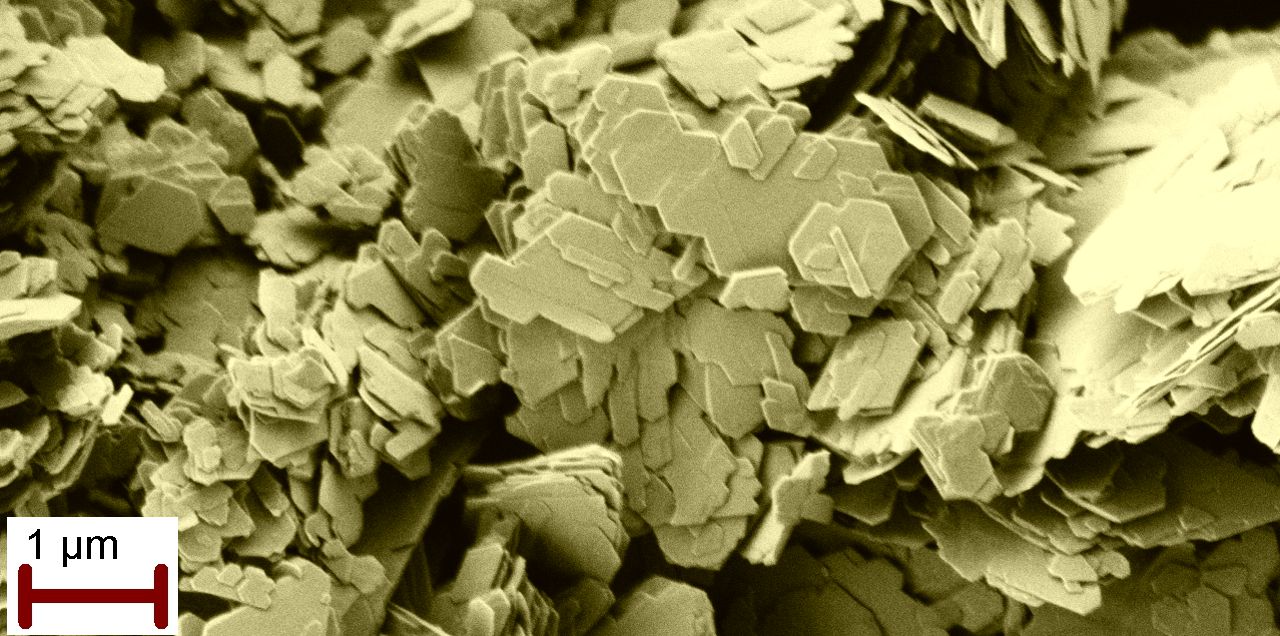 SEM image of kaolinite clay crystals
