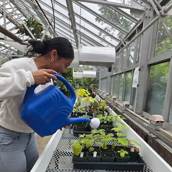 Student Leslie Ponce watering plants