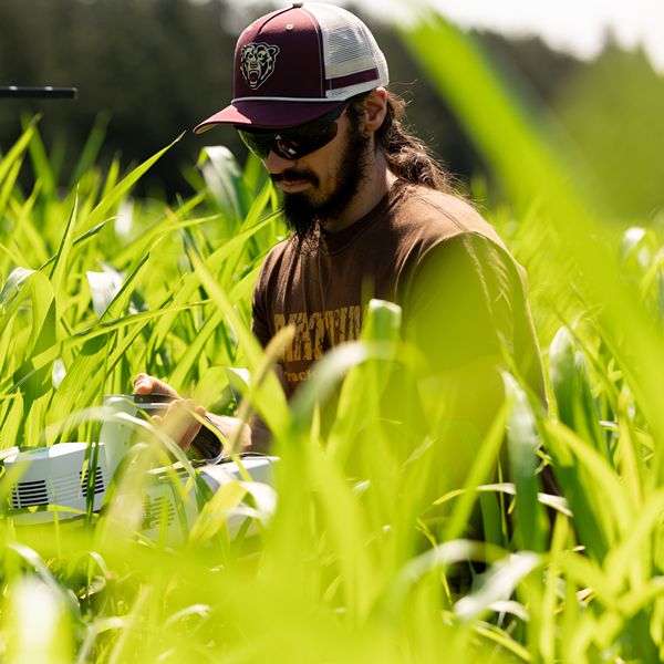 Researchers in crops using radar processing technology