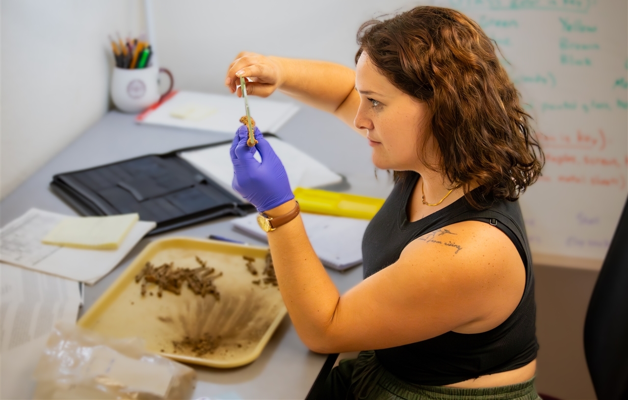 Linda Zuniga working in the Old Main Lab.