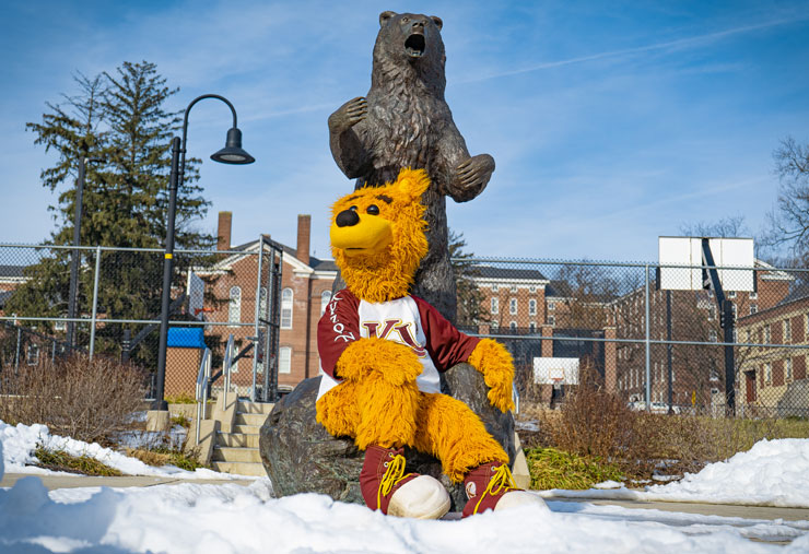 KU mascot, Avalanche, sits at the foot of a bronze statue of a golden bear standing on hind legs. In the background is the back of Old Main and the basketball courts with blue skies overhead. Piles of shoveled snow melt along the sidewalk directly behind Avalanche and the statue.  
