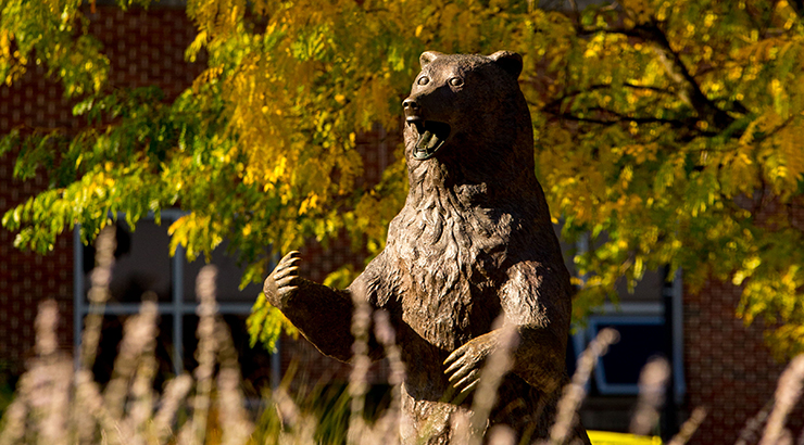 Golden bear statue with tall grass in the foreground 