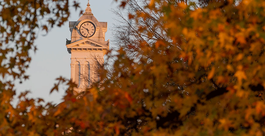 Photo of the clock tower seen through fall leaves