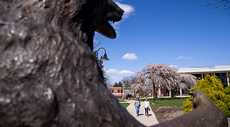 Photo of two students walking on campus framed by the bronze Golden Bear on the Library lawn with Sharadin Arts Building in the background.