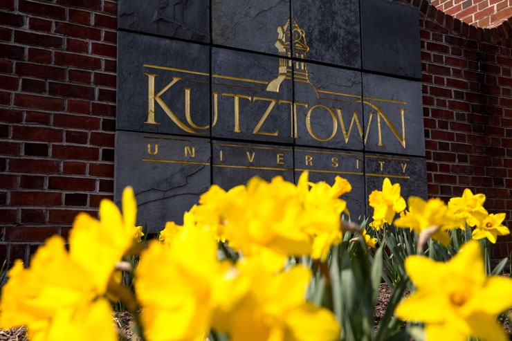 Kutztown University welcome sign with daffodils growing in the foreground 