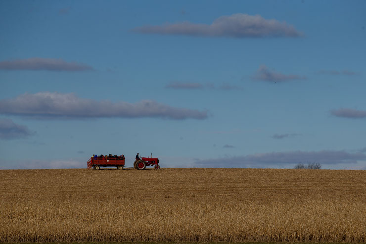 Distance shot of a tractor in the middle of a field of wheat