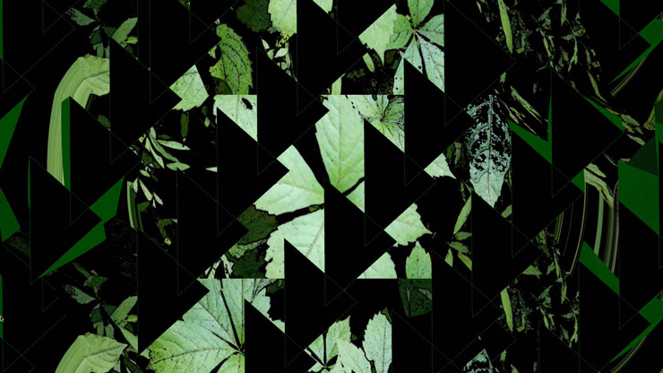 Pixelated image of green leaves on black background depicting the various stages of photosynthesis and decomposition.