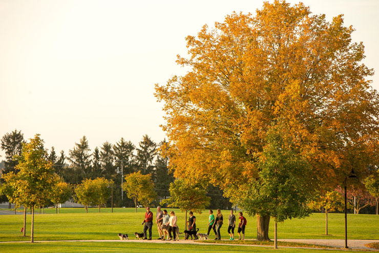 Walks with Wynnie: A 2016 photo of a a group of people walking dogs with President Hawkinson and his dog, Wynnie. In the background there is a tree changing colors and pine trees along Lytle Lane.