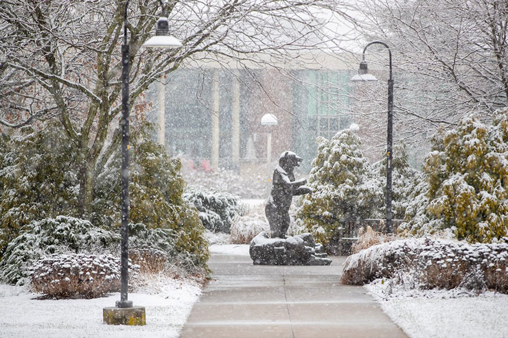 As the snow begins to fall, the bronze Golden Bear statue and its surroundings are dusted with snow. Rohrbach Library can be seen through the falling snow in the background.