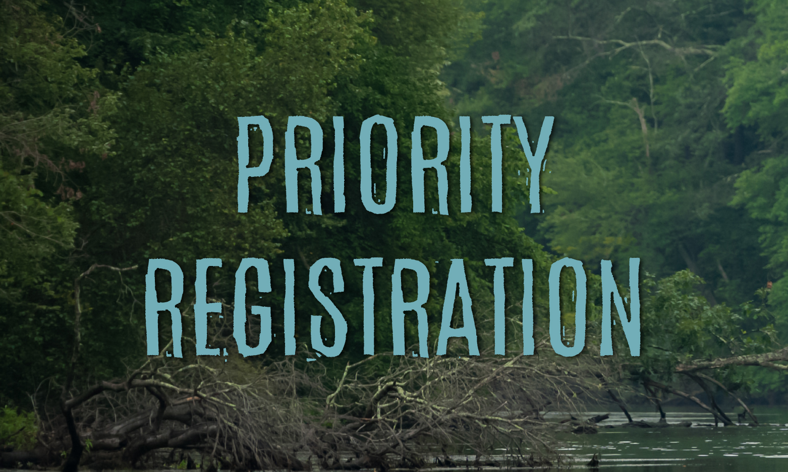 Image with trees in background and priority registration written