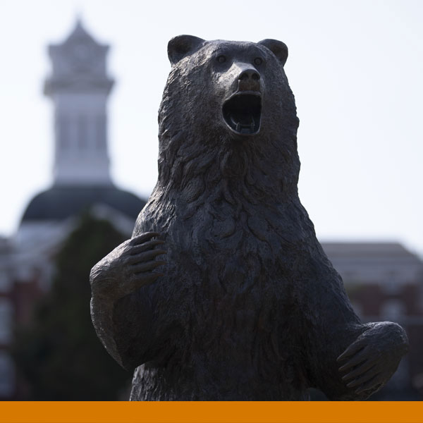 an image of the Kutztown University golden bear statue with the iconic old main clock tower in the background