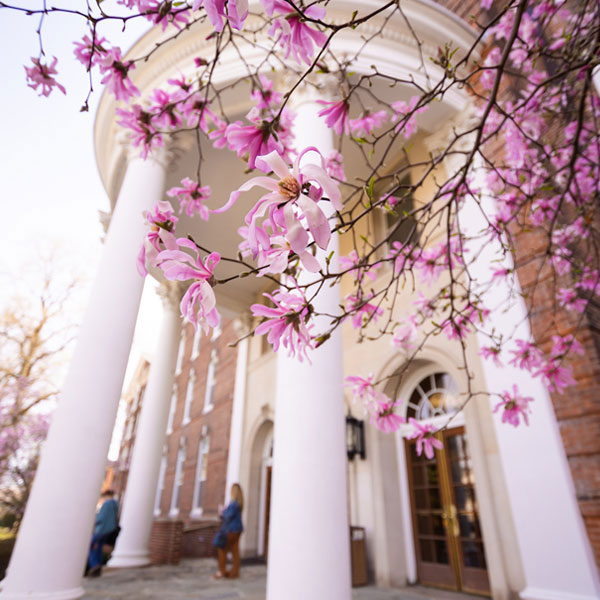 Flowers bloom in the forground, as people walk out of Old Main's portico entrance.
