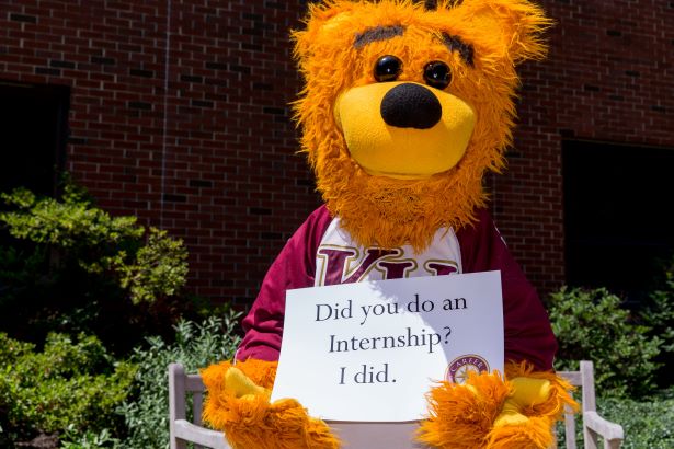 Avalanche with internship sign