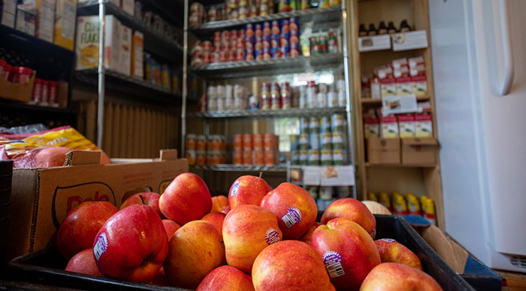 Bear Essentials Pantry Photo