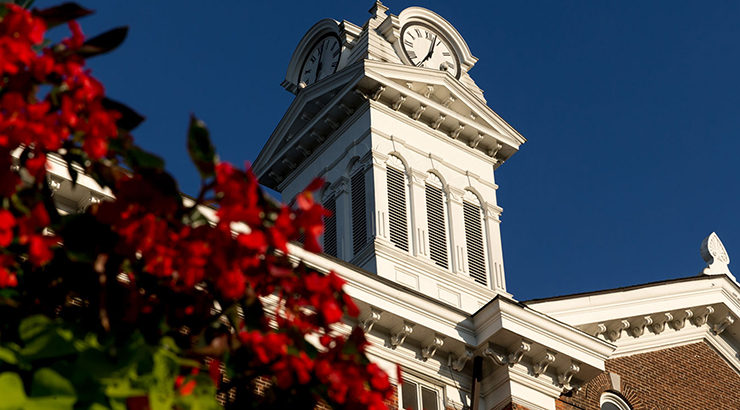 The Old Main clock tower behind a flowering tree 