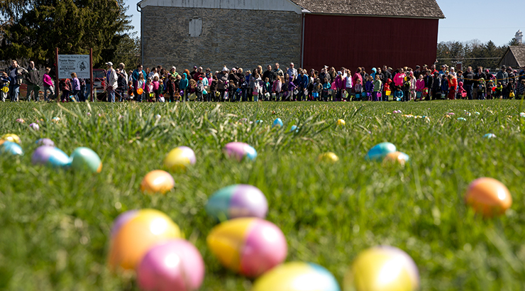 Green grass and colorful eggs on the ground for Easter egg hunt at the German Cultural Heritage Center