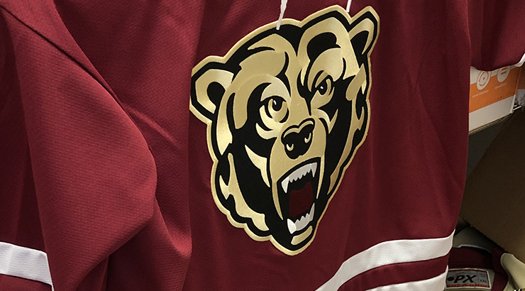 Maroon jersey with the golden bear logo in the middle 