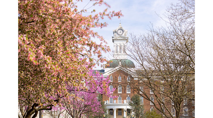 Old Main with flowering trees