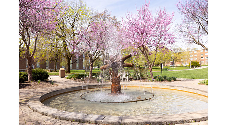 fountain