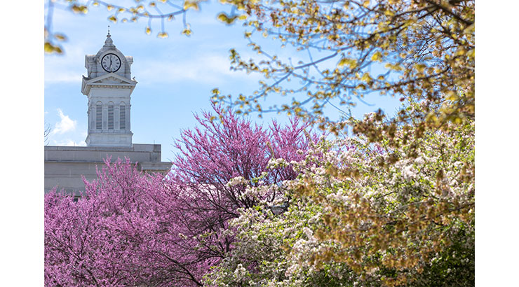 KU spring clock tower