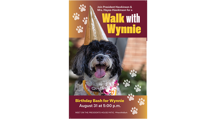 Walks with Wynnie
