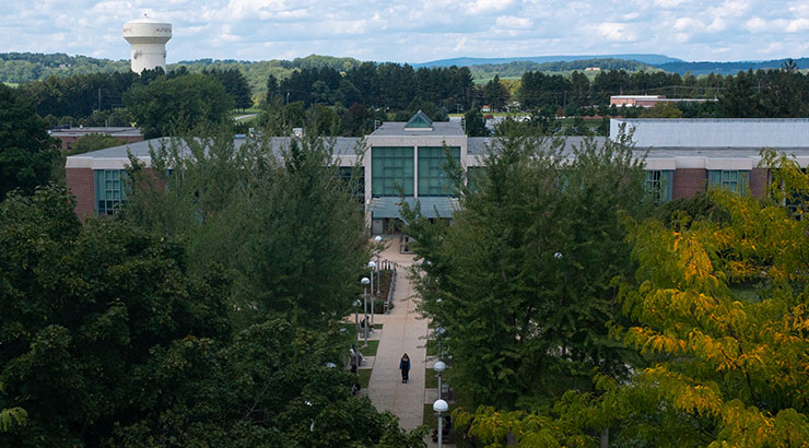 library from a distance